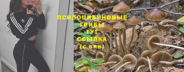 винт Наволоки